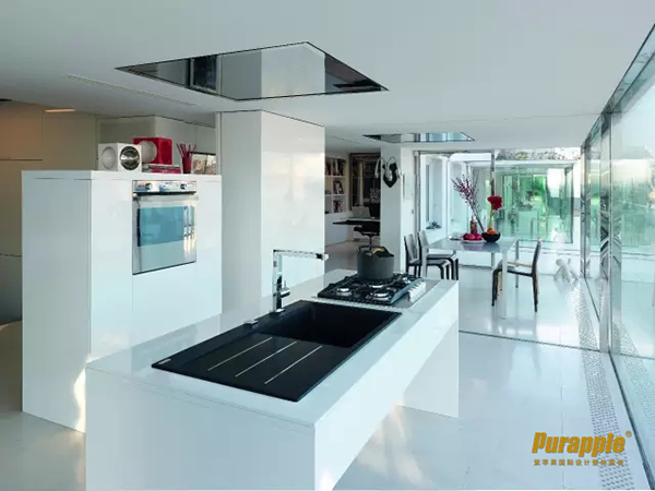 無錫紫蘋果裝飾