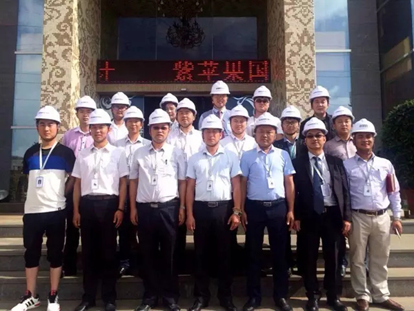 無錫紫蘋果裝飾