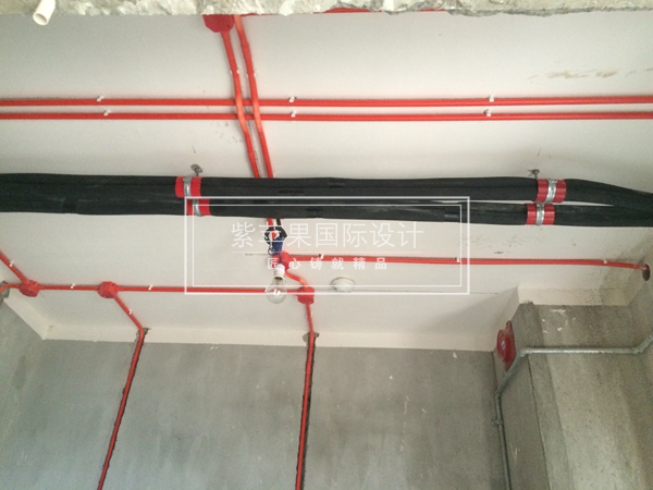 無錫紫蘋果裝飾